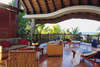 Royal Palm 
